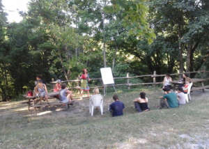 organizza gruppo 7
